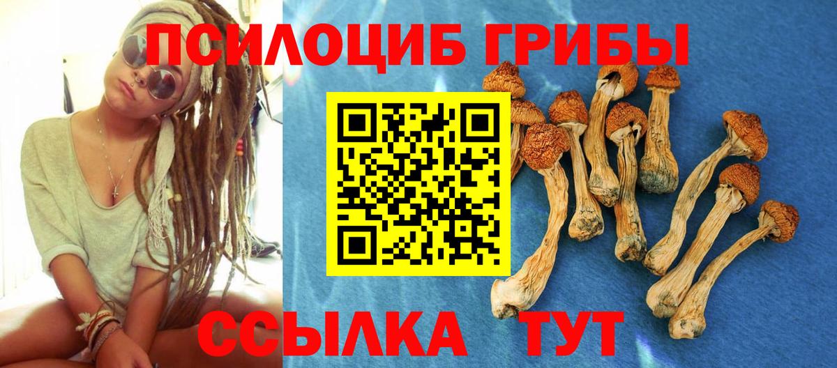 Псилоцибиновые грибы Psilocybine cubensis  Галлюциногенные грибы Psilocybine cubensis  Вход с VPN  Сургут 